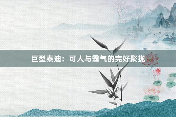 巨型泰迪：可人与霸气的完好聚拢