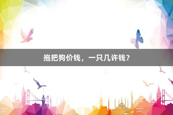拖把狗价钱，一只几许钱？