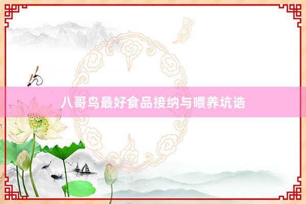 八哥鸟最好食品接纳与喂养坑诰