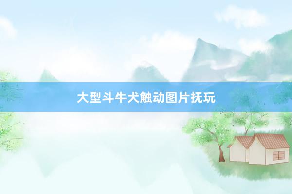 大型斗牛犬触动图片抚玩